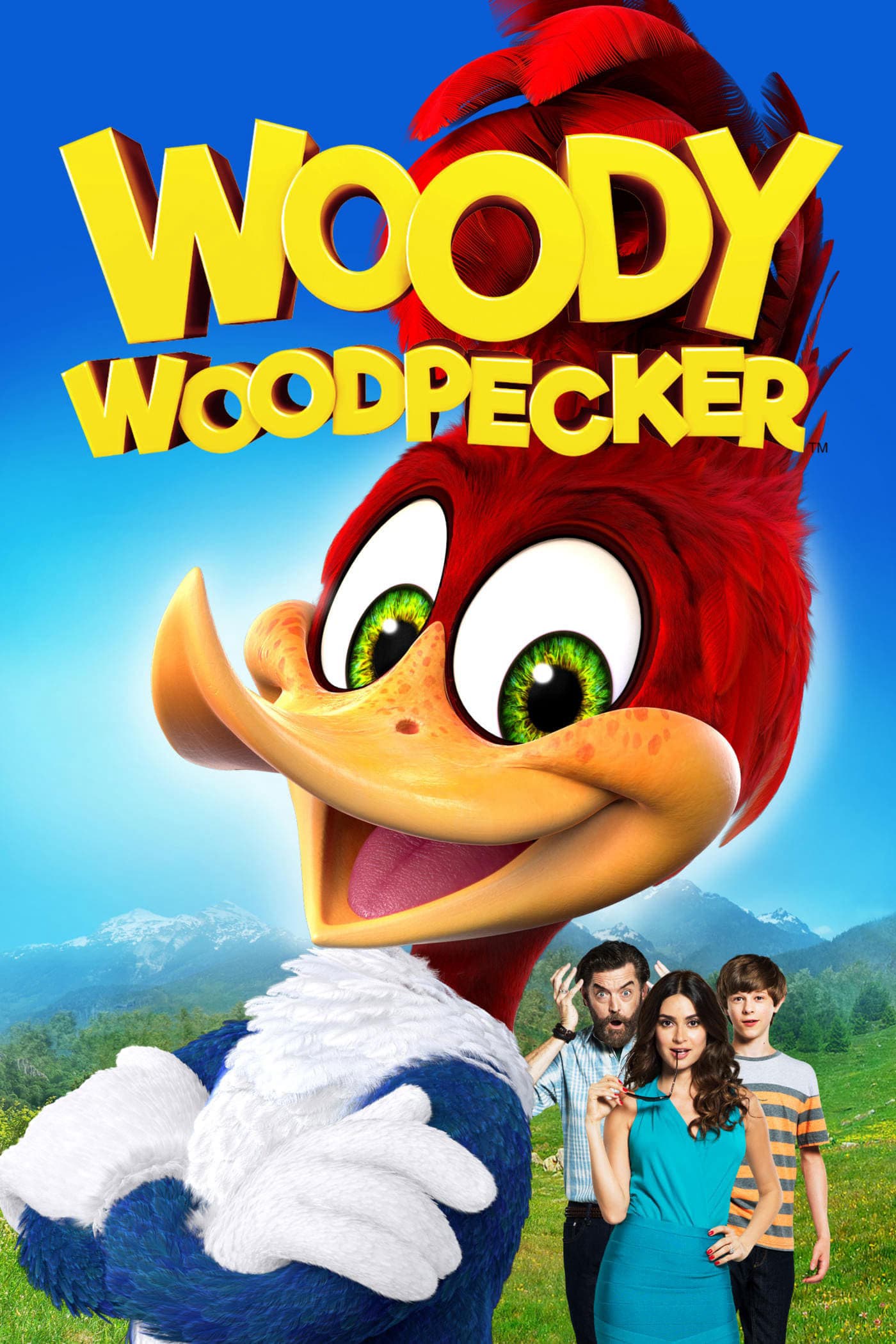 Chim Gõ Kiến Woody 2017